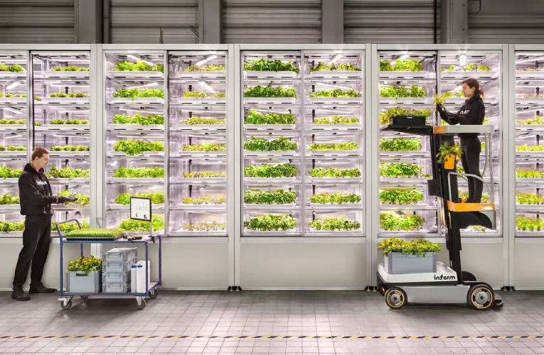Vertical Farming Systems for Small-Scale Food Production: Your Guide to Growing Up